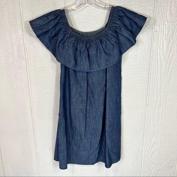 NEW Soft Joie Denim Dress Large - Picture 7 of 13